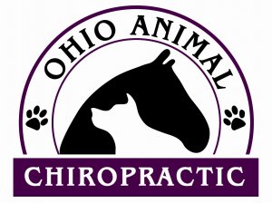 Ohio_Animal_Chiro_vistaprint_jpg