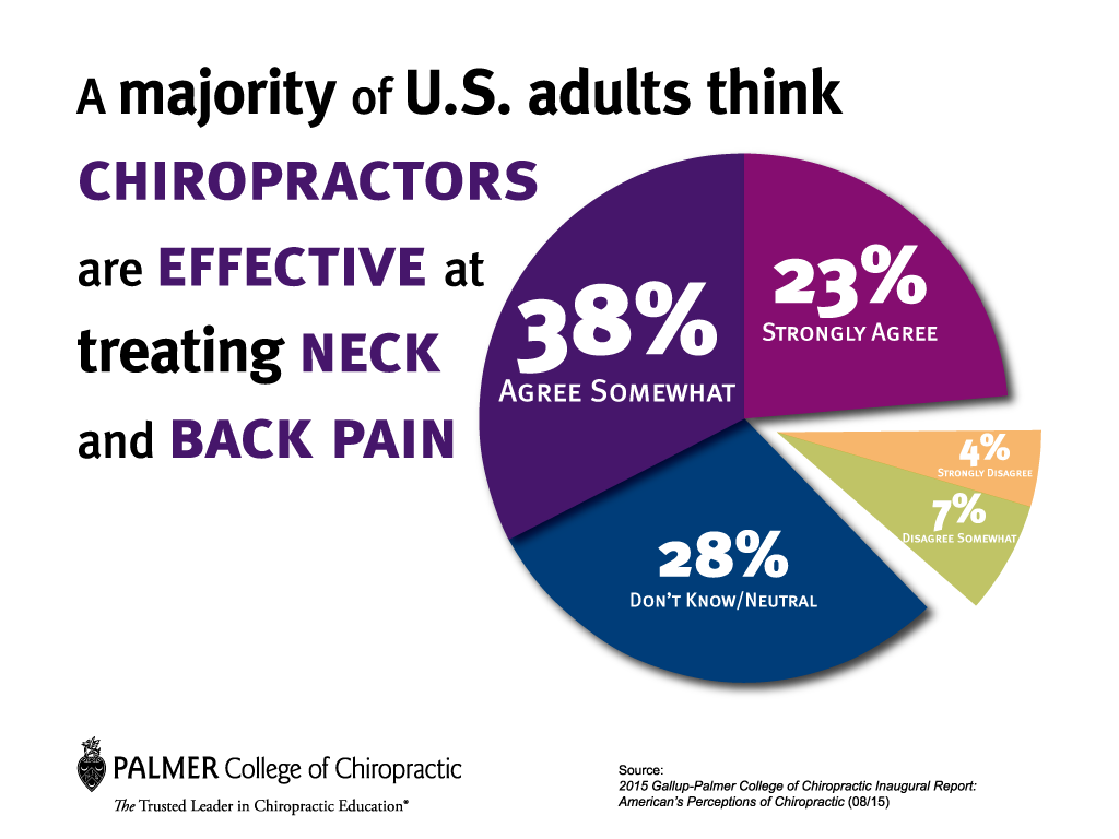 What is the best major for a chiropractor?